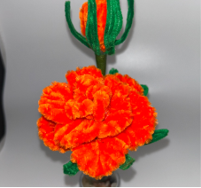 Marigold